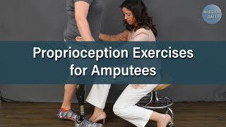 Balance Exercises for Amputees Proprioception [upl. by Nosnah]