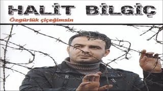 HALİT BİLGİÇ  BİZ YIKILMAYIZ [upl. by Emse]