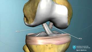 Part I Knee Anatomy [upl. by Finzer]