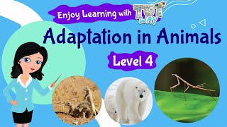 Animal Adaptations For Kids  Science  Grade 3 amp 4  TutWay [upl. by Llerrem]