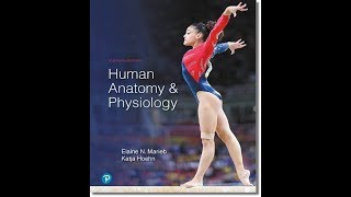 Dr Edwards Lecture Chapter 1  Introduction to Human Anatomy amp Physiology  Part A [upl. by Everick]