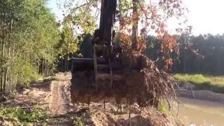 Transplanting Large Trees with Excavator [upl. by Ainehta16]