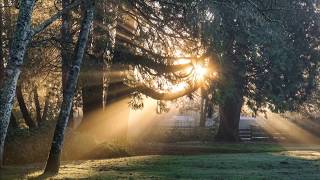 Wordt wakker het zonnetje is al op [upl. by Guenevere]