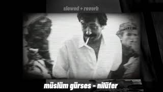 Müslüm Gürses Nilüfer slowed [upl. by Sidoma]