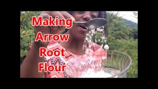 HOW TO MAKE ARROWROOT FLOUR Making Arrowroot Flour  Country Living [upl. by Singleton]