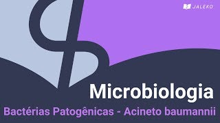 Microbiologia Bactérias Patogênicas  Acineto baumannii [upl. by Rist]