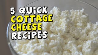 5 Quick Cottage Cheese Recipes [upl. by Erastatus]