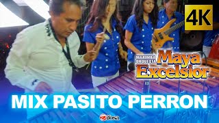 Mix Pasito Perron  Marimba Orquesta Maya Excelsior [upl. by Angelika452]