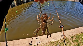 Catfishing On The River Bank Fishing [upl. by Nancee]