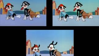 Animaniacs Intro Comparison All seasons [upl. by Ecylahs]