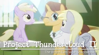 Project Thundercloud II Shadowbox My Little Pony fan animation [upl. by Files]