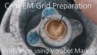 CryoEM Grid Preparation  Vitrification using Vitrobot Mark IV [upl. by Fransis]