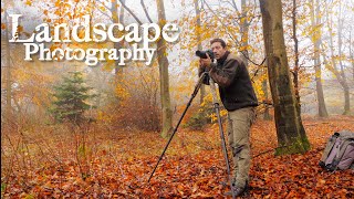 LANDSCAPE PHOTOGRAPHY IN DENMARK  Behind the scenes  Last chance for photographing the autumn [upl. by Zumwalt634]