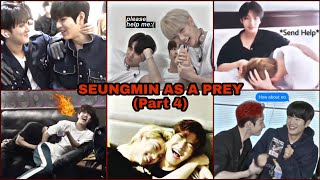 Seungmin as a PREY Prey Vs Predators  Part 4 [upl. by Nivre926]