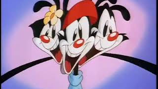 Animaniacs Nickelodeon Intro HQ [upl. by Krid516]