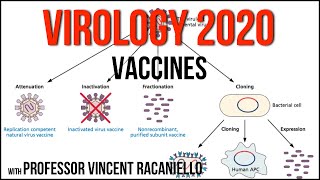 Virology Lectures 2020 19 Vaccines [upl. by Eiclud]