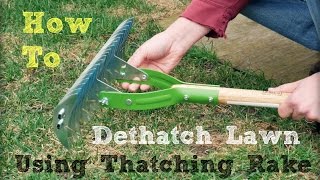 How to Dethatch Lawn Using a Thatching Rake [upl. by Samala]