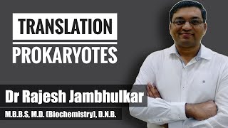 Translation in Prokaryotes [upl. by Auqenehs]