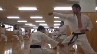 Training at JKA Japan Karate Association Honbu Dojo [upl. by Tsnre]