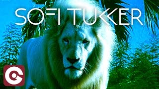 SOFI TUKKER  Hey Lion [upl. by Oiludbo248]