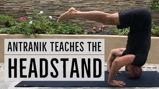 How to do the Headstand PROPERLY Full Tutorial amp Progressions for Beginners [upl. by Ecirum]