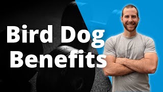 Bird Dog Benefits  What Muscles does the Bird Dog Train [upl. by Ellata638]