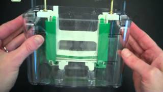 SDS PAGE Part 1 Assembly and Electrophoresis [upl. by Elonore]