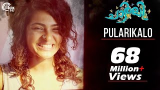 Charlie  Pularikalo Song Video  Dulquer Salmaan Parvathy  Official [upl. by Annohsak]