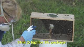 How to Use Oxalic Acid to Control Varroa Mites [upl. by Avie]