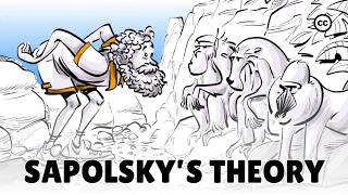 Sapolsky’s Theory of Evolutionary Psychology [upl. by Akimot850]