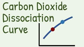 Carbon Dioxide Dissociation Curve [upl. by Kiel151]