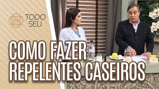 Como fazer repelente caseiro  Todo Seu 240419 [upl. by Anade]