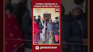 Voting continues in Punjab Municipal polls  India Today [upl. by Leugimesoj]