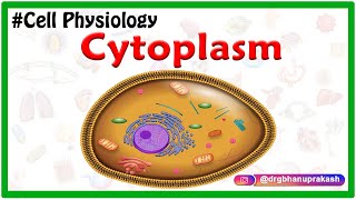 Cytoplasm  USMLE Cell Physiology Animations [upl. by Minda]