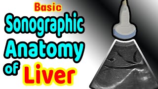 Basic Sonographic Anatomy of the Liver [upl. by Gypsy635]