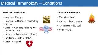 Medical Terminology  The Basics  Lesson 4 [upl. by Iteerp]