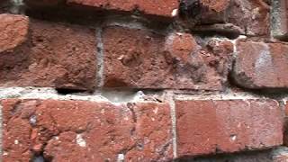 Lime Mortar Repointing The Basic Techniques for Restoring Historic Brick Homes [upl. by Burdett]