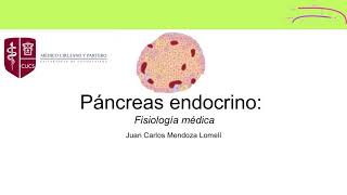 Fisiología páncreas endocrino [upl. by Adnilim]