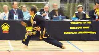 Kuk Sool Won Masters Demonstration 2015 [upl. by Renae]