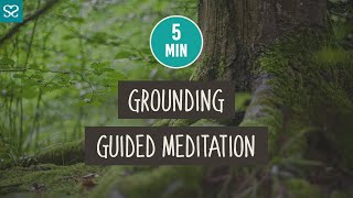 5 Minute Grounding GUIDED MEDITATION  Reduce Anxiety and Stress  MiniMeditation [upl. by Avril]