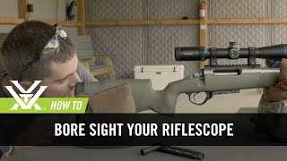 How To Bore Sight Your Rifle [upl. by Asssilem]