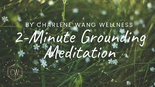 2 Minute Guided Meditation for Grounding [upl. by Batsheva758]