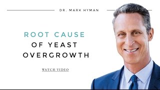 Root Cause of Yeast Overgrowth [upl. by Enelhtak]