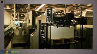 Litho Printing Process [upl. by Anoblav]