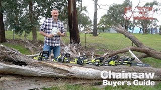 RYOBI Chainsaw Buyers Guide [upl. by Zosi]