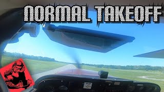 How to Perform a Normal Takeoff Private Pilot Flight Lesson [upl. by Fechter139]