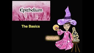 Epithelium The Basics [upl. by Lizabeth]