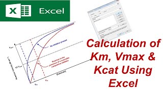 Enzyme Km Vmax amp Kcat Calculation Using Excel Solver Easy Method [upl. by Merry]