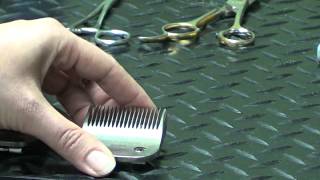 Pet Grooming Hand Tools for the DoItYourself Dog Groomer [upl. by Burke]