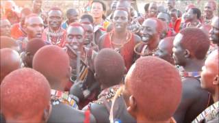 Maasai Warriors Dance 2 [upl. by Torras]